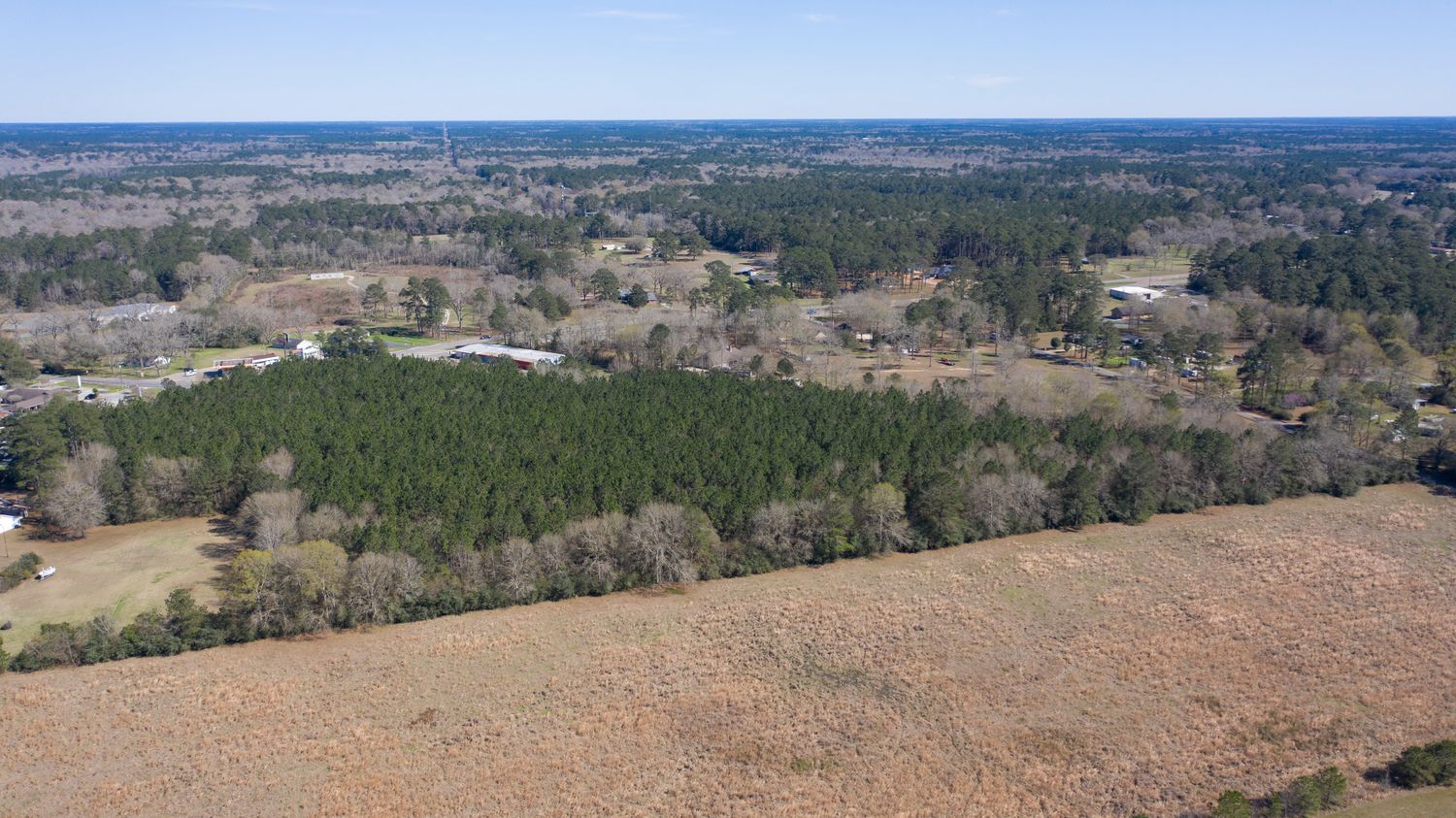 TBD Hwy 171, South: TBD Hwy 171, South, Deridder, LA 70634